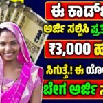 e shram card online apply